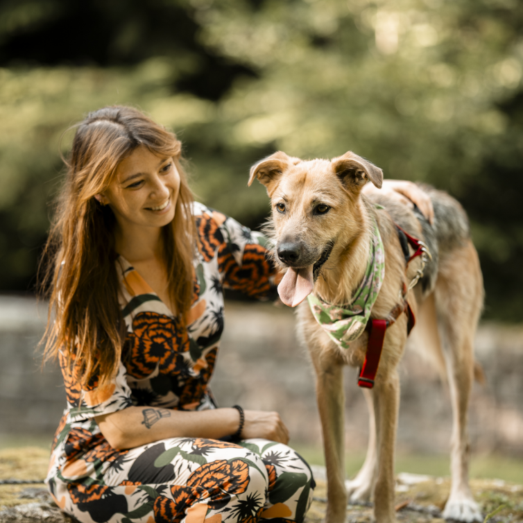 chiens (22 sur 45)